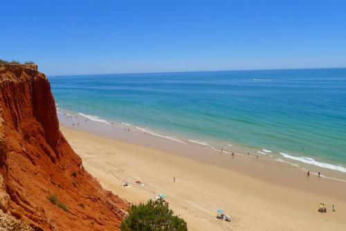 Apartment Av Sa Carneiro/travessa Da Abelheira