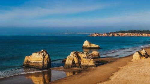 Apartment Av Sa Carneiro/travessa Da Abelheira