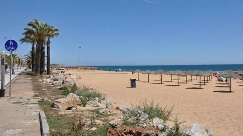 Apartment Av Sa Carneiro/travessa Da Abelheira