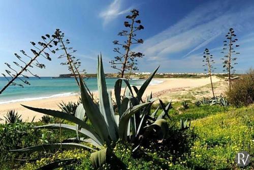 Sagres Villa Sleeps 6 Pool T433168