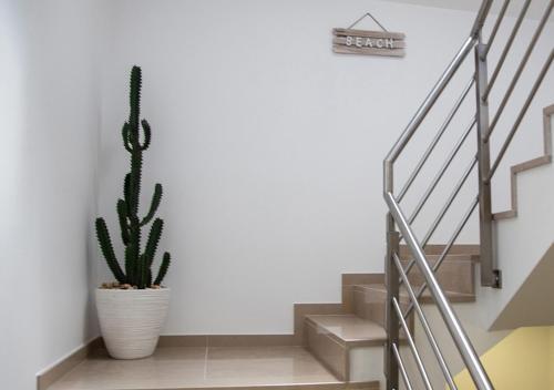 Apartamento Real Holidays Nazar�