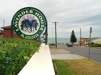 Hotel Lavender House B&B