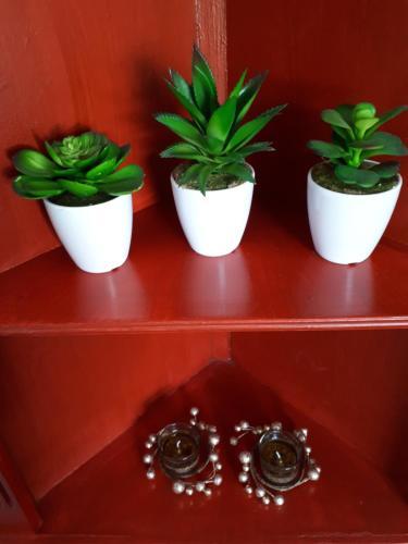 Apartment Trindade