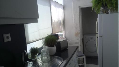 Apartamento Alojamento Requinte