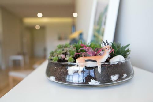 Apartamento Porto Nascente