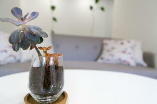 Apartamento Porto Nascente