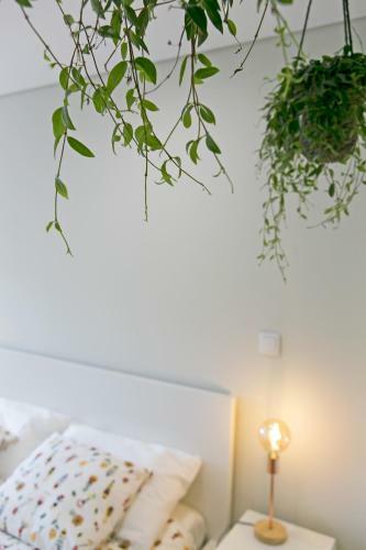 Apartamento Porto Nascente