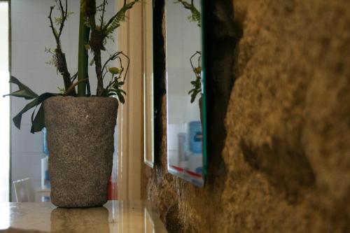 Hostal Ndussole Guest House