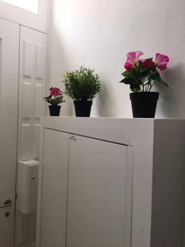 Bra.com Apartments Oporto Campanh�
