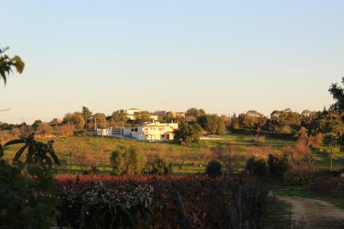 Agroturismo Wine House