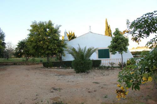 Agroturismo Wine House