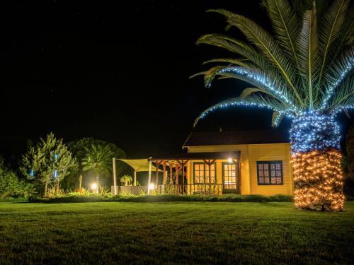 Casa Monte Cristo Apartments - Plum