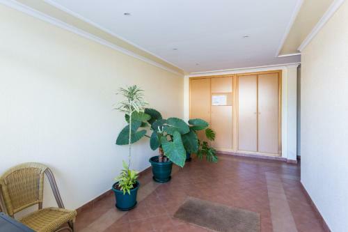 Pedros Apartment By Seewest