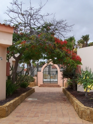 Apartamentos Bungalows Castillo Playa