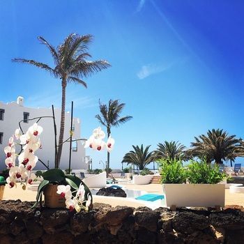Apartamentos Neptuno