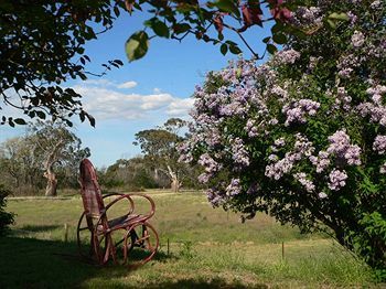 Bed & Breakfast Redcliffe House