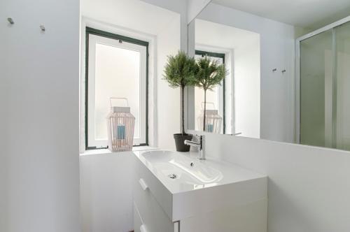 Downtown Trendy Apartments |rentexperience