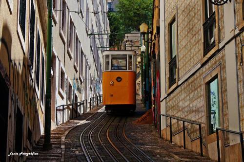 Sao Jorge Apartments & Suites