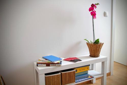 Cal�ada Apartment