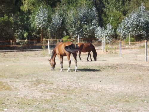 Agroturismo Quinta Das Rolas
