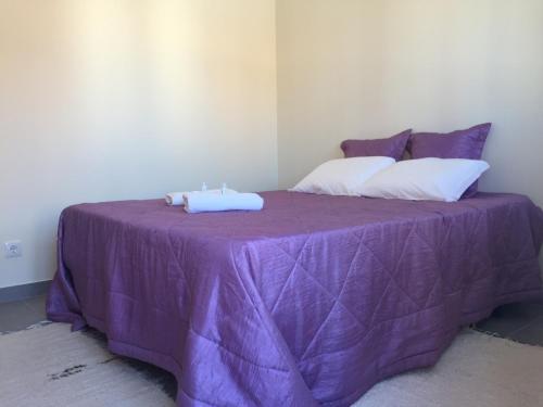 Mondego Terrace Apartment