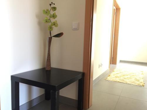 Mondego Terrace Apartment