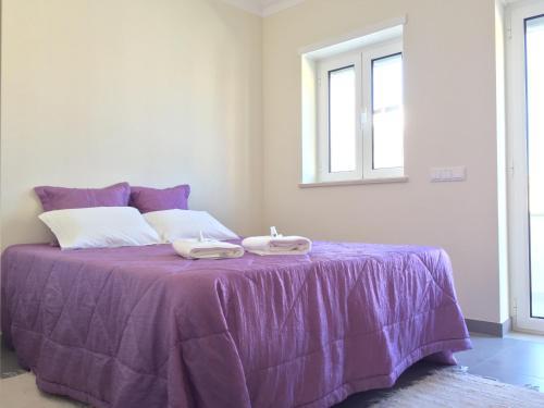 Mondego Terrace Apartment