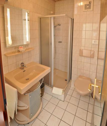 Hotel Pension Zlami