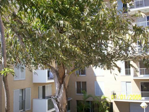 Apartamento Lido - Casa Branca