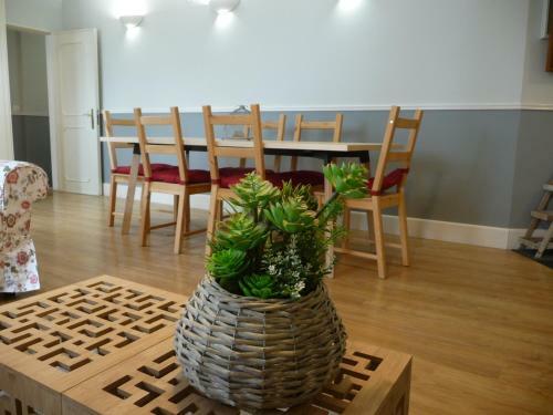 Apartamento Cascais Terra