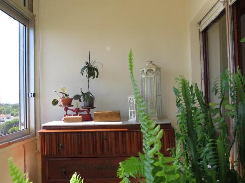Apartamento Caparica For Rent