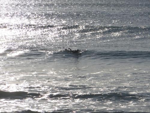 Apartamento Caparica For Rent