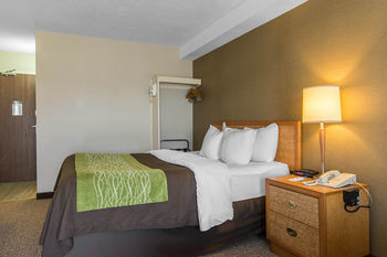Hotel Comfort Inn Dartmouth
