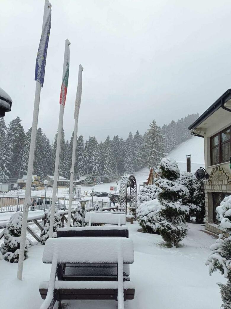 Hotel Villa Alpin