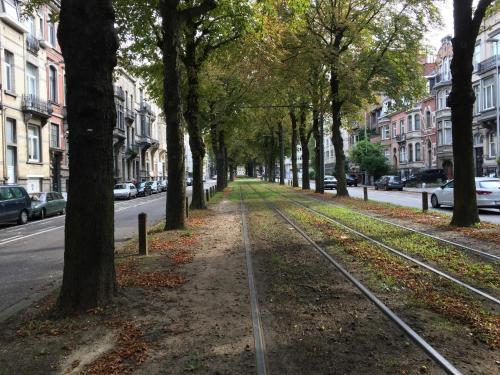 Hostal Albert Moli�re