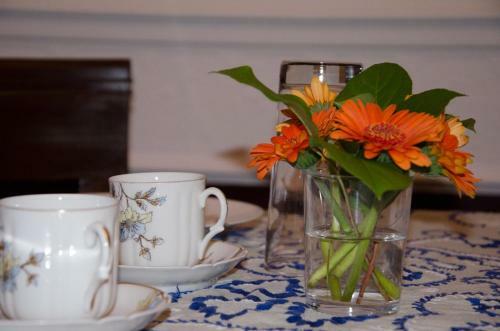 Hostal Albert Moli�re