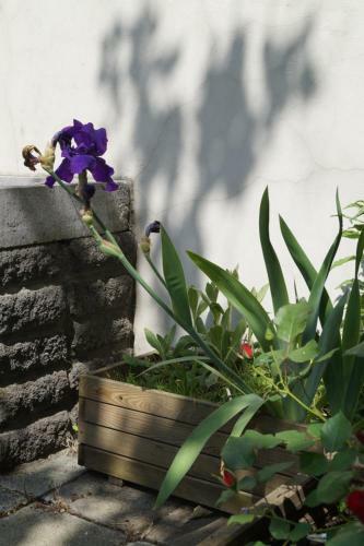 Bed & Breakfast Villa Botanique Guesthouse