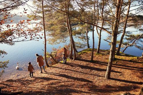 Hotel De Vossemeren By Center Parcs