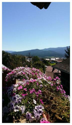 Apartamento Ferienhof Altmann