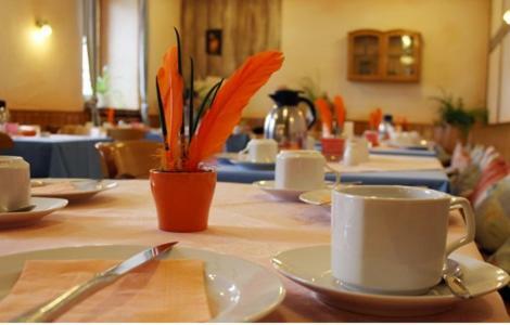 Hotel Traditionsgasthof Gr�ner Baum