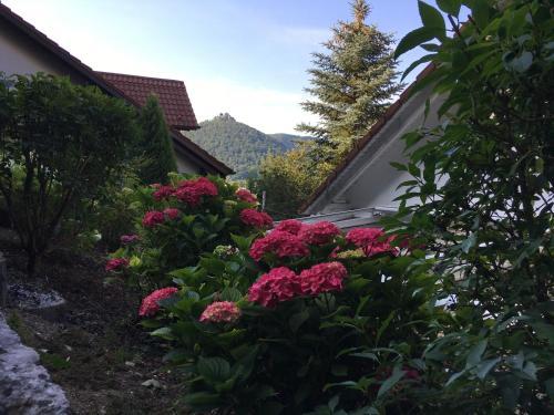 Apartamento Haus Am Sonnenh�gel