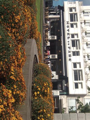 Hotel Du Parc