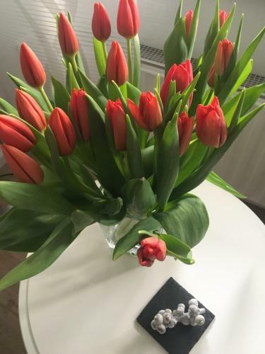 Apartamento Ferienwohnung Mosel