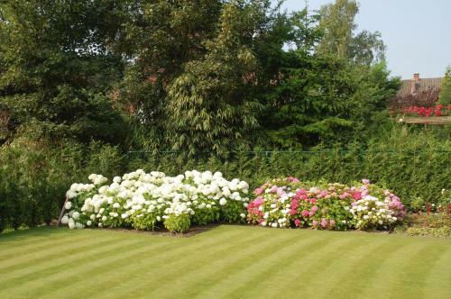 Bed & Breakfast Bloemenweelde