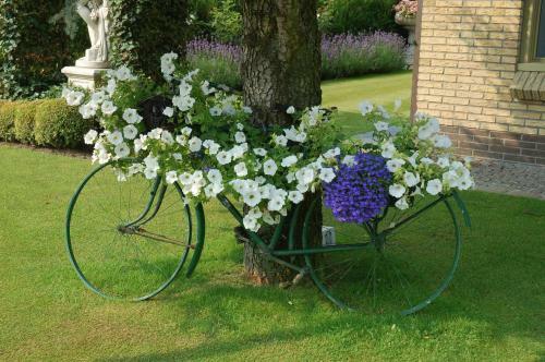 Bed & Breakfast Bloemenweelde
