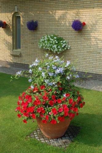 Bed & Breakfast Bloemenweelde