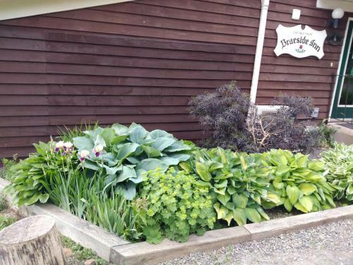 Hotel Braeside Country Inn