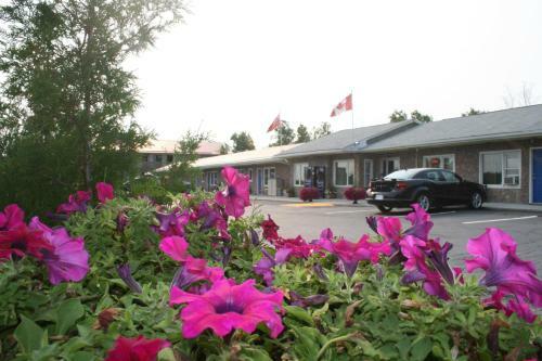 Hotel Moonlight Inn & Suites