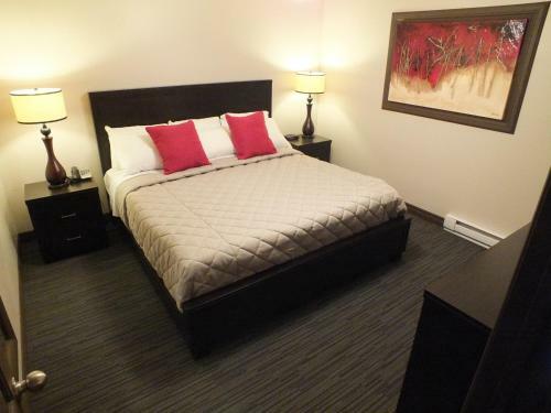 Hotel H�tel & Suites Monte-cristo