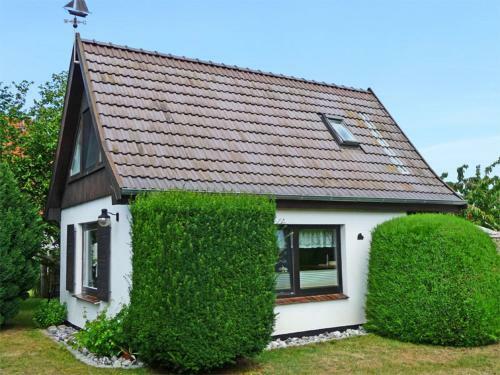 Ferienhaus Born Fdz 221